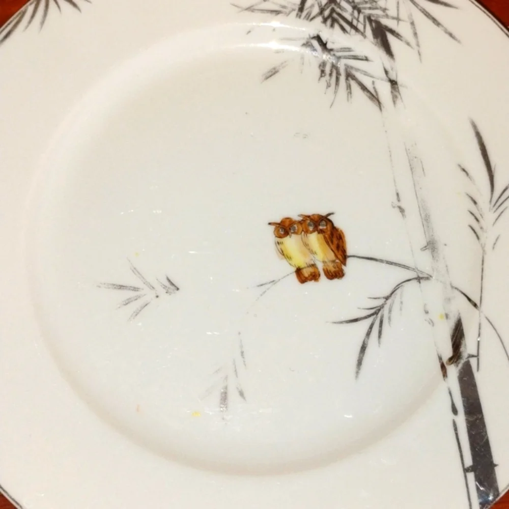 🕊️ Wedgwood Devotion Fine Bone China PLATE 8
